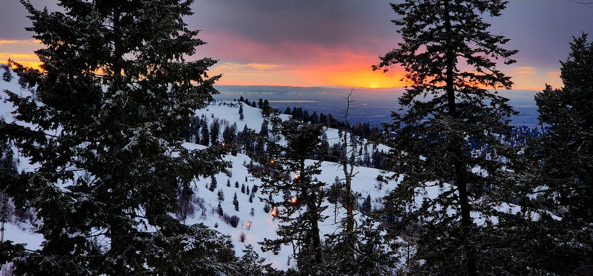 braun_folk's tweet image. #splitboarding is beautiful