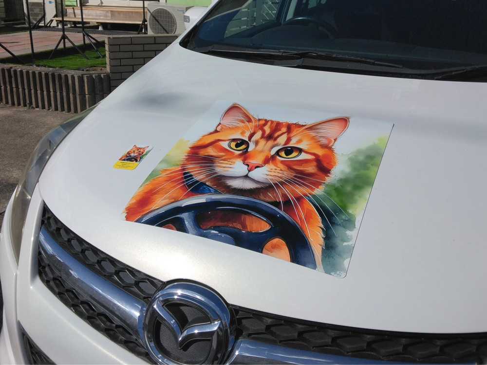 ＃マグネット本舗クルピタ
設置写真をいただきました。ありがとうございます。