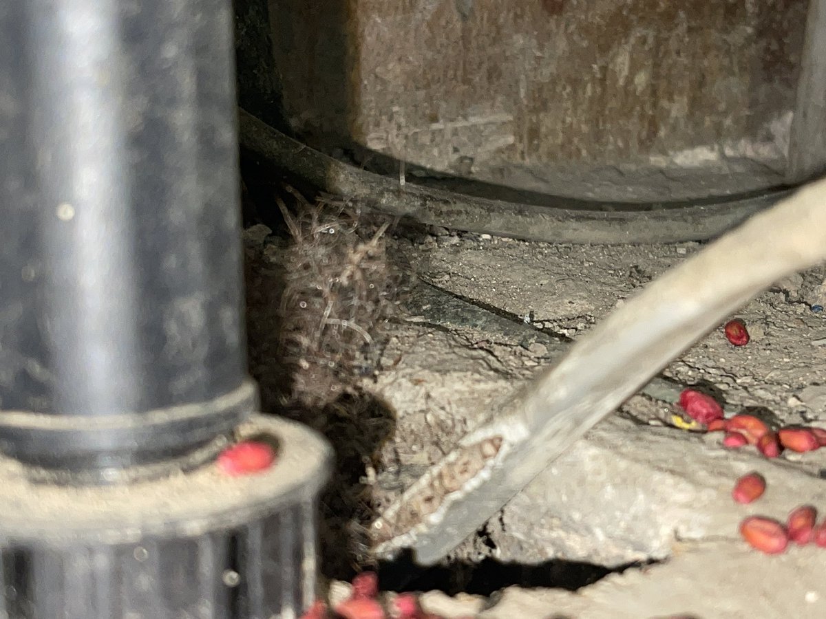 Oven stopped working in this house.  They didn’t just need an electrician