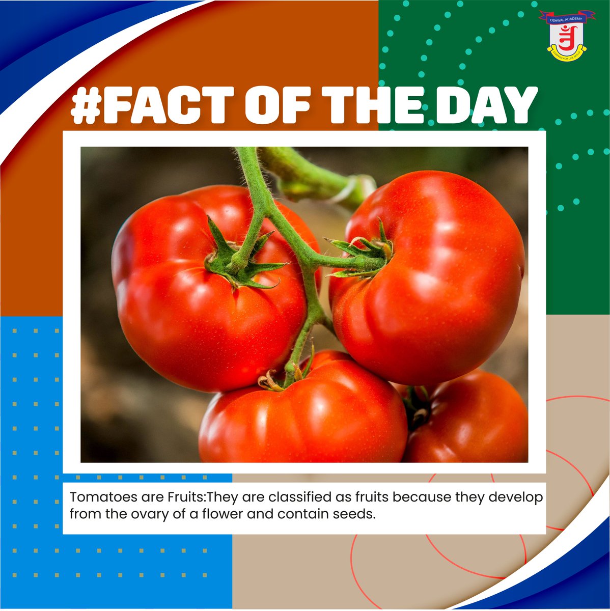 FACT OF THE DAY

#oshwalacademynairobi #learnandplay #facts #staysafe