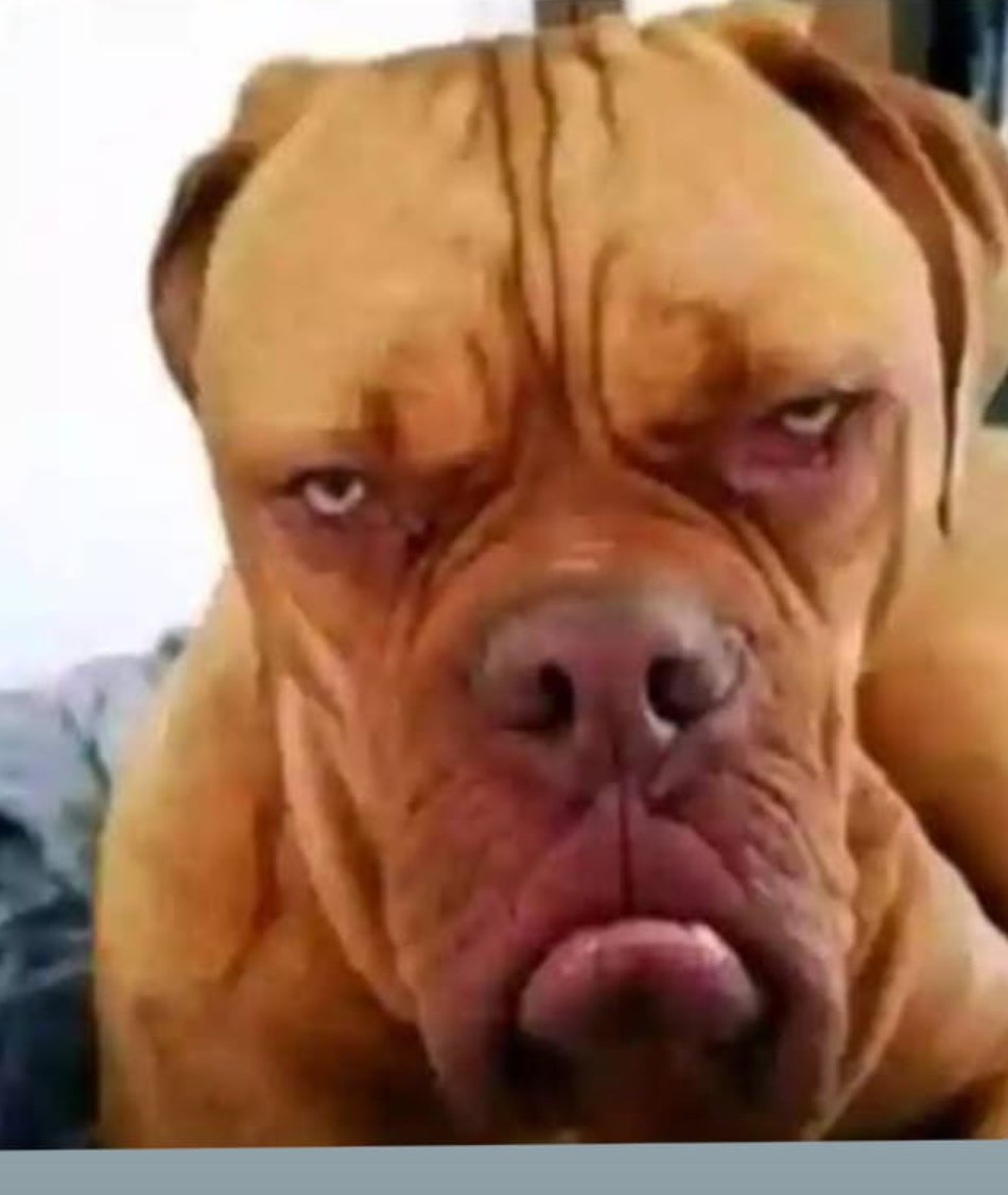 That one Kileleshwa MCA who is always online insultingly Babu Owino 🤣