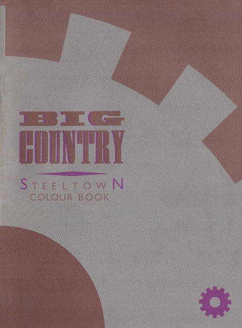 Stuart Adamson - In A Big Country: Tribute Page tweet media