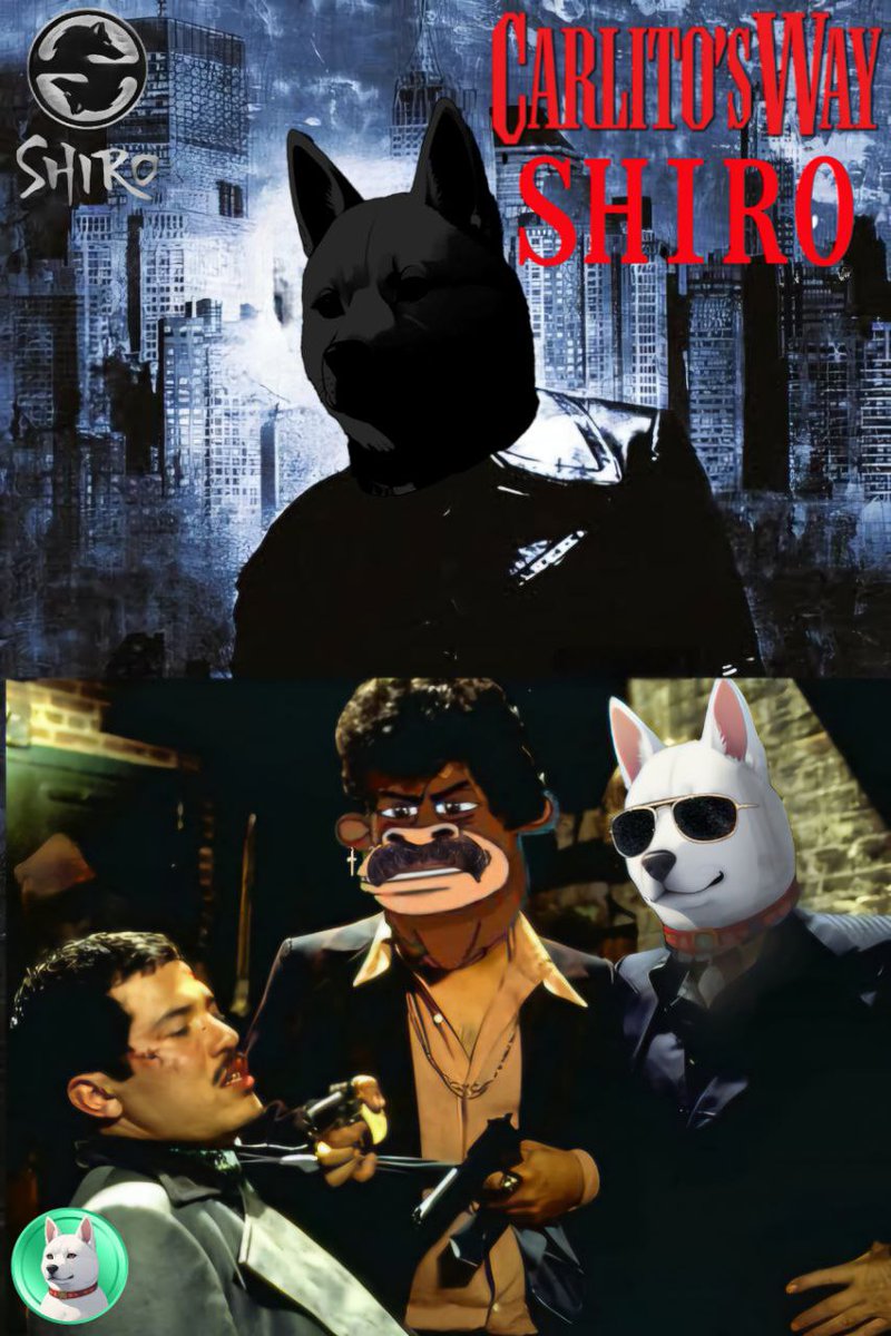 SHIRO_KASPA's tweet photo. 💥 "The streets don’t forget, and neither does crypto." - Carlito

The market can love you one day, then betray you the next. It’s cold, ruthless, and will chew you up if you’re not careful. Just like Carlito’s journey, the crypto game tests your loyalty and your patience.

One moment, you’re riding high, the next, you’re watching your profits vanish. 🚀➡️💀 But as Carlito learned, you always gotta rise from the ashes. Buy $SHIRO and join us. @Bullykas $Bully @SHIRO_KASPA 

@Fonzy9143971981  #KRC20 $kaspa @realDonaldTrump @SURAJ_041 #Trump #shai #ChatGPT #INDvsENG #NEWARS #gaza #isak #USAID #Netanyahou #israel #VidaaMuyarchi #VidaamuyarchiFDFS #VidaaMuyarchiReview #JurassicWorldRebirth #asrinfelaketi #wintervolliefde #saveพิรงรอง #SuperSun #effzeh #Temblor #GRAMMYs #BamBam #ypotheseis #NSPPD #UnutmakMıAsla #MAFS #MarianneGonzaga #ibrahimhatipoğluistifa #ifkgbg #KingRezaPahlavi #OlympiacosFC #OurBundleOfLoveTAEHYUN #psvfey #AghaKhan #shoppingstar #CRYPTO