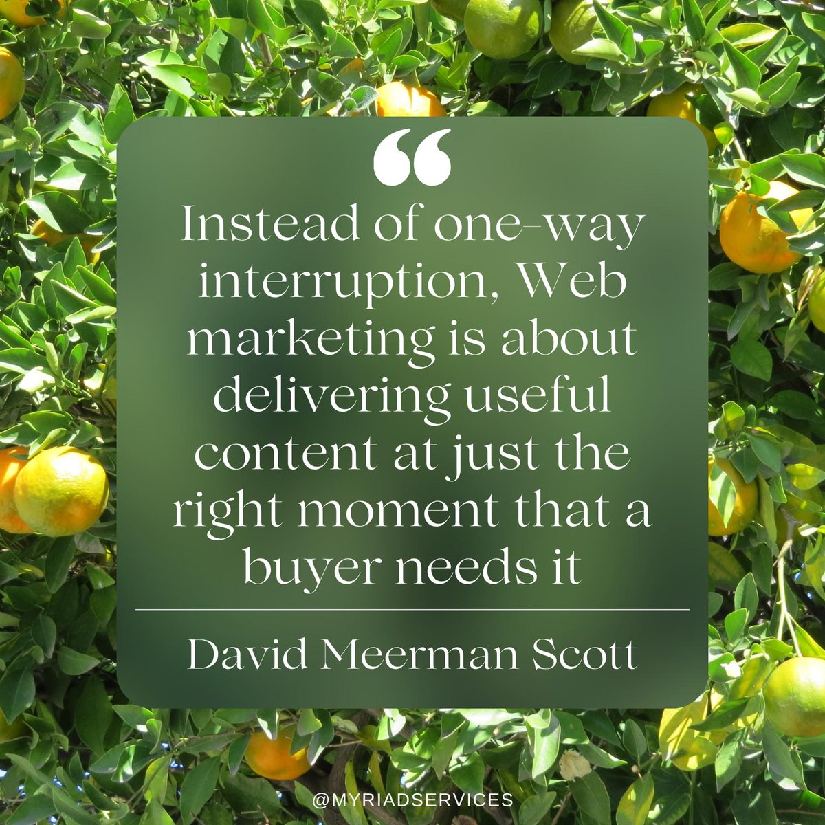 Hayley Andrews Smith tweet media