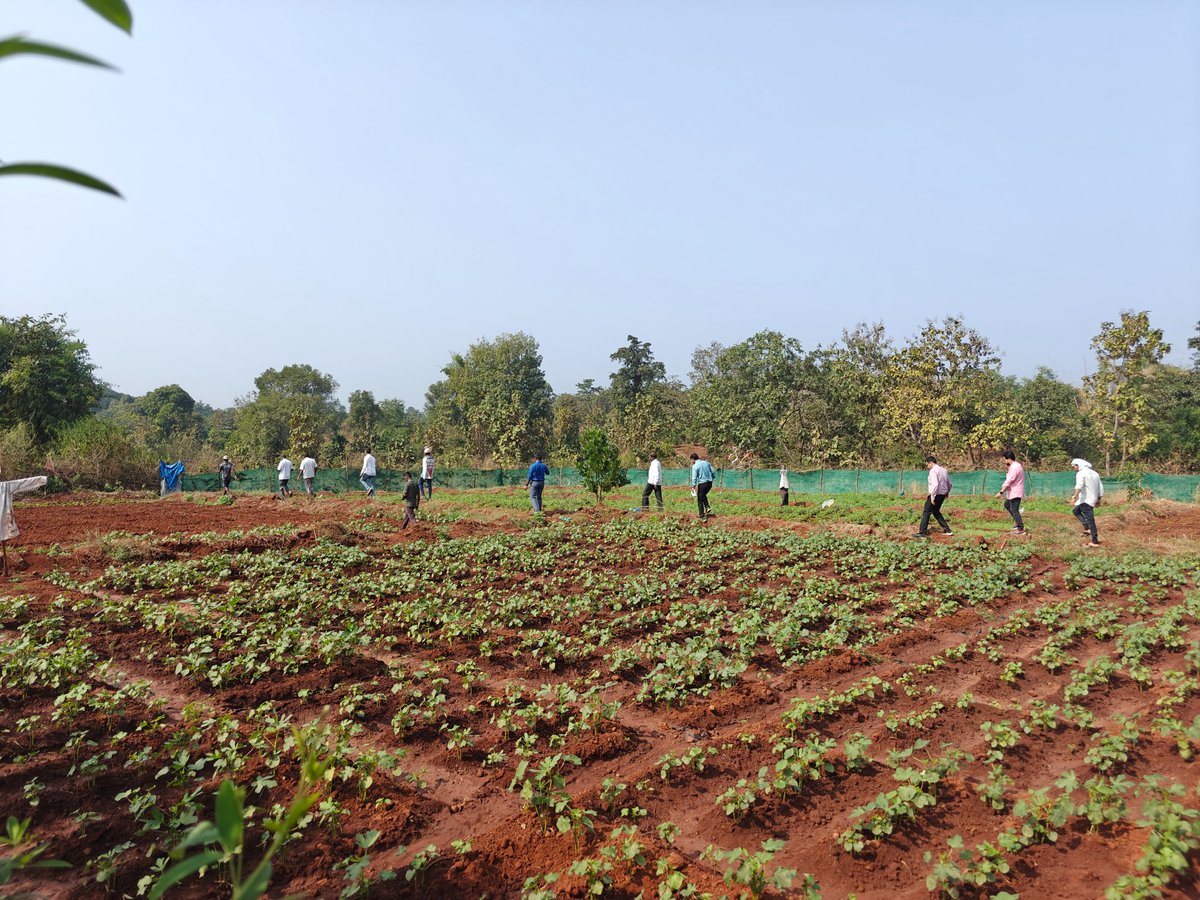 Villages in Shahpur Block,Thane district, face severe water scarcity. JK Trust, in collaboration with @NABARD, is launching this project to strengthen water resource management &amp; agricultural productivity. 

To know more about project👇🏻
bit.ly/40PY7dE