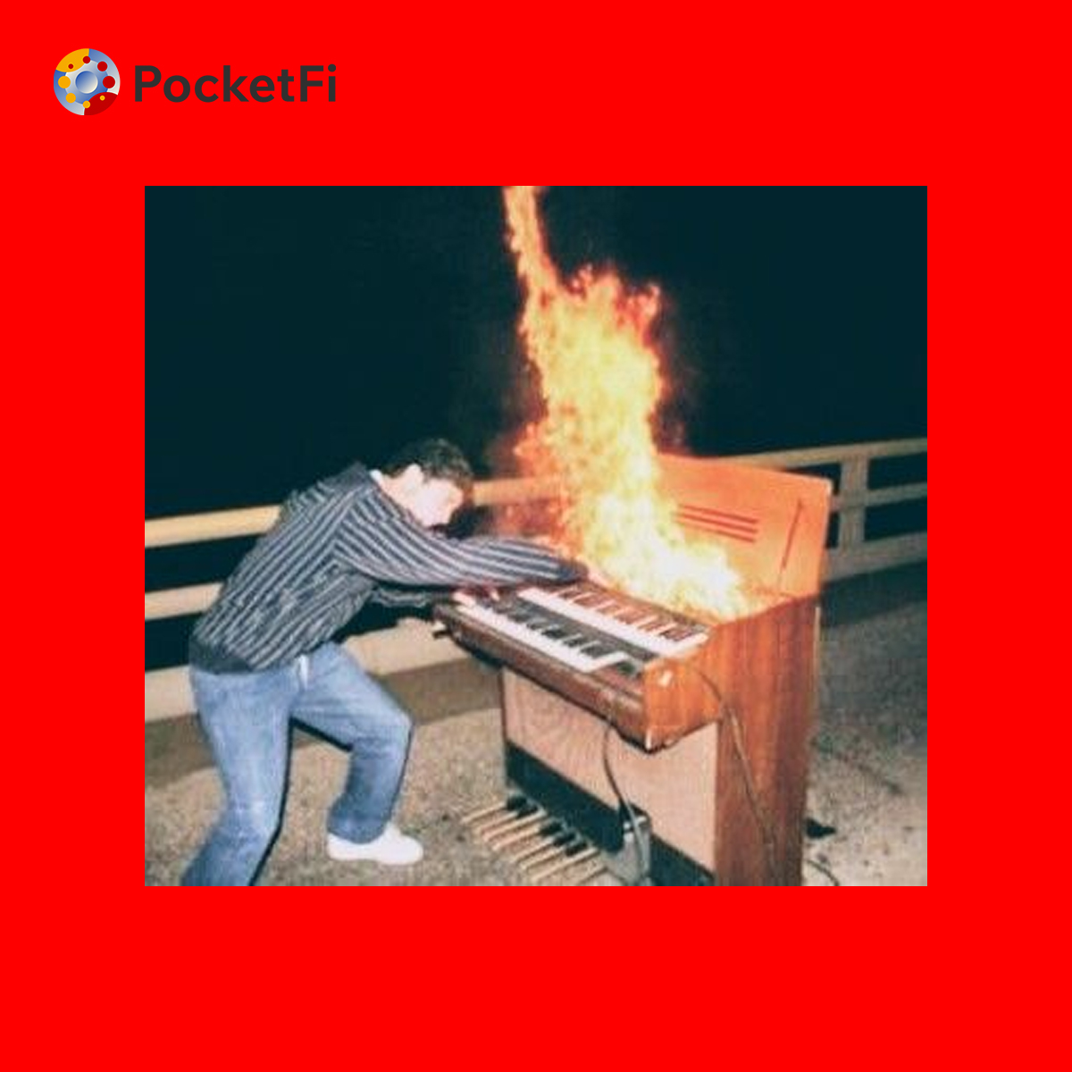 XPocket tweet media