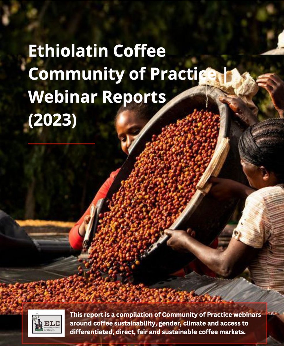 Did you miss any of the EthioLatin Coffee Webinars in 2023 and 2024? Here is your chance to get updated on the major discussion points - women, coffee, climate and more 👇

ethiolatincoffee.com/knowledge-prod…