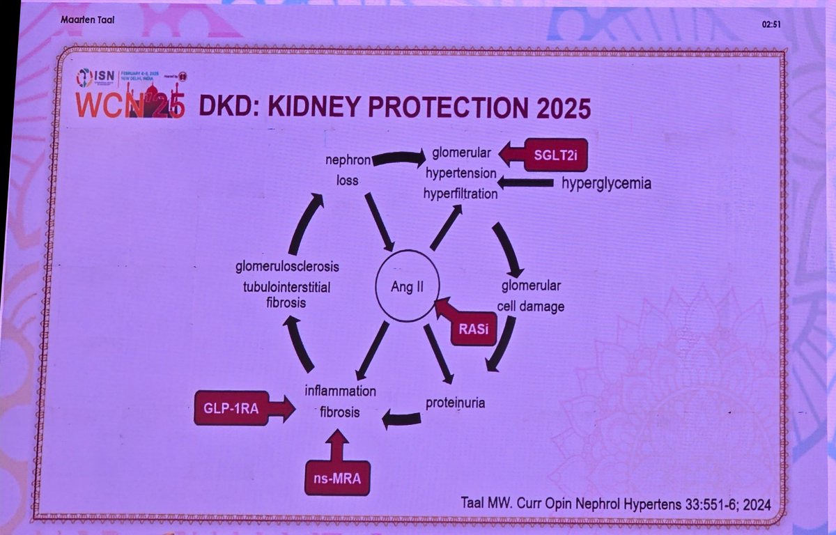 saikum37's tweet photo. DKD Management 2025 @ISNWCN https://t.co/V2lPtL5YNi