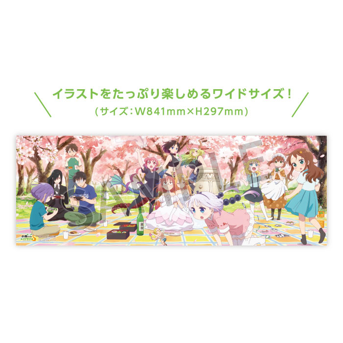 TVアニメ第2期 『小林さんちのメイドラゴンS』 Blu-ray BOX 2025年3月