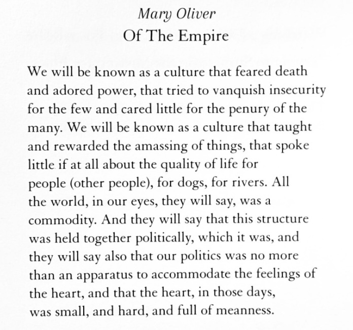 dominique furukawa (@domfurukawa) on Twitter photo 