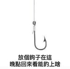 不得惹iuueas