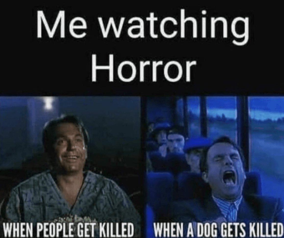 HorrorHammer1's tweet photo. 👍🏻😆 https://t.co/tA8uHDpUL6
