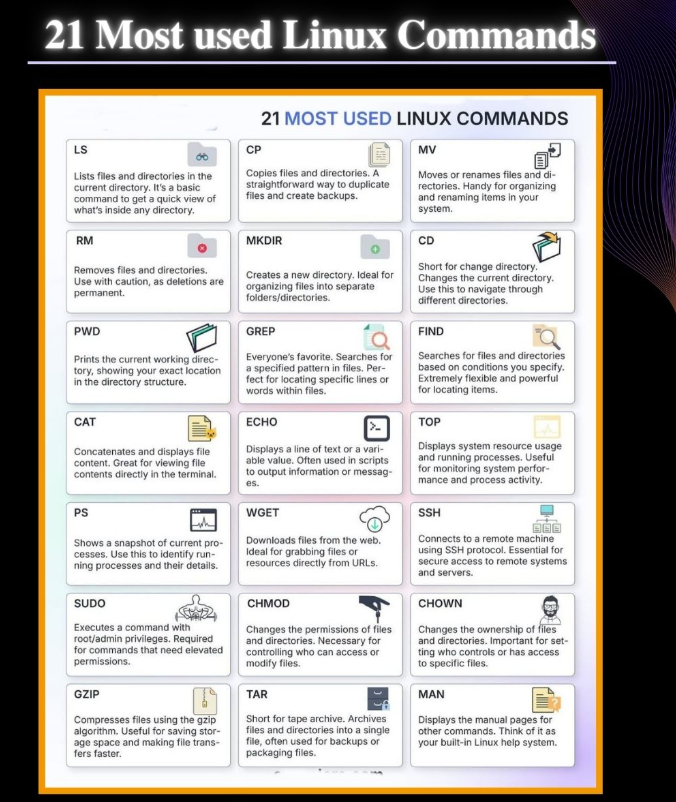 Python Developer tweet media