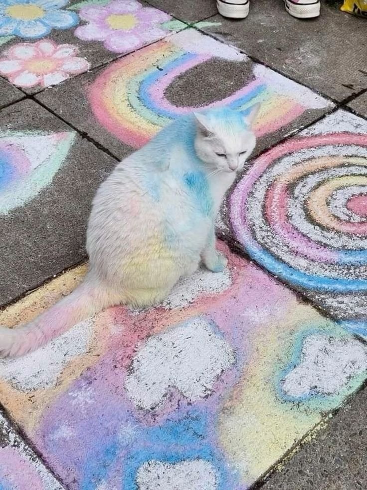 i know he rolled in that chalk