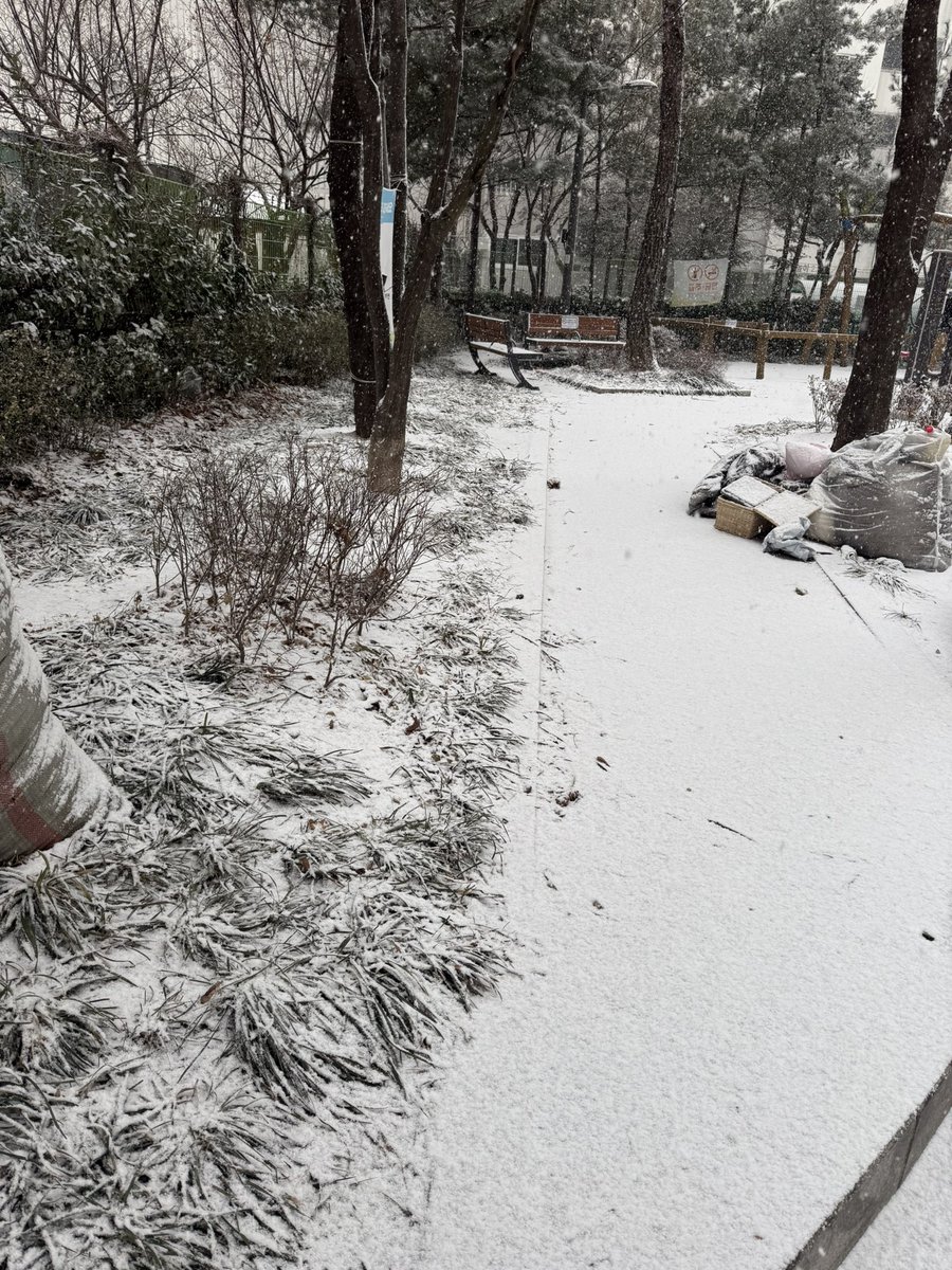 ソウルは雪がたくさん降りますね