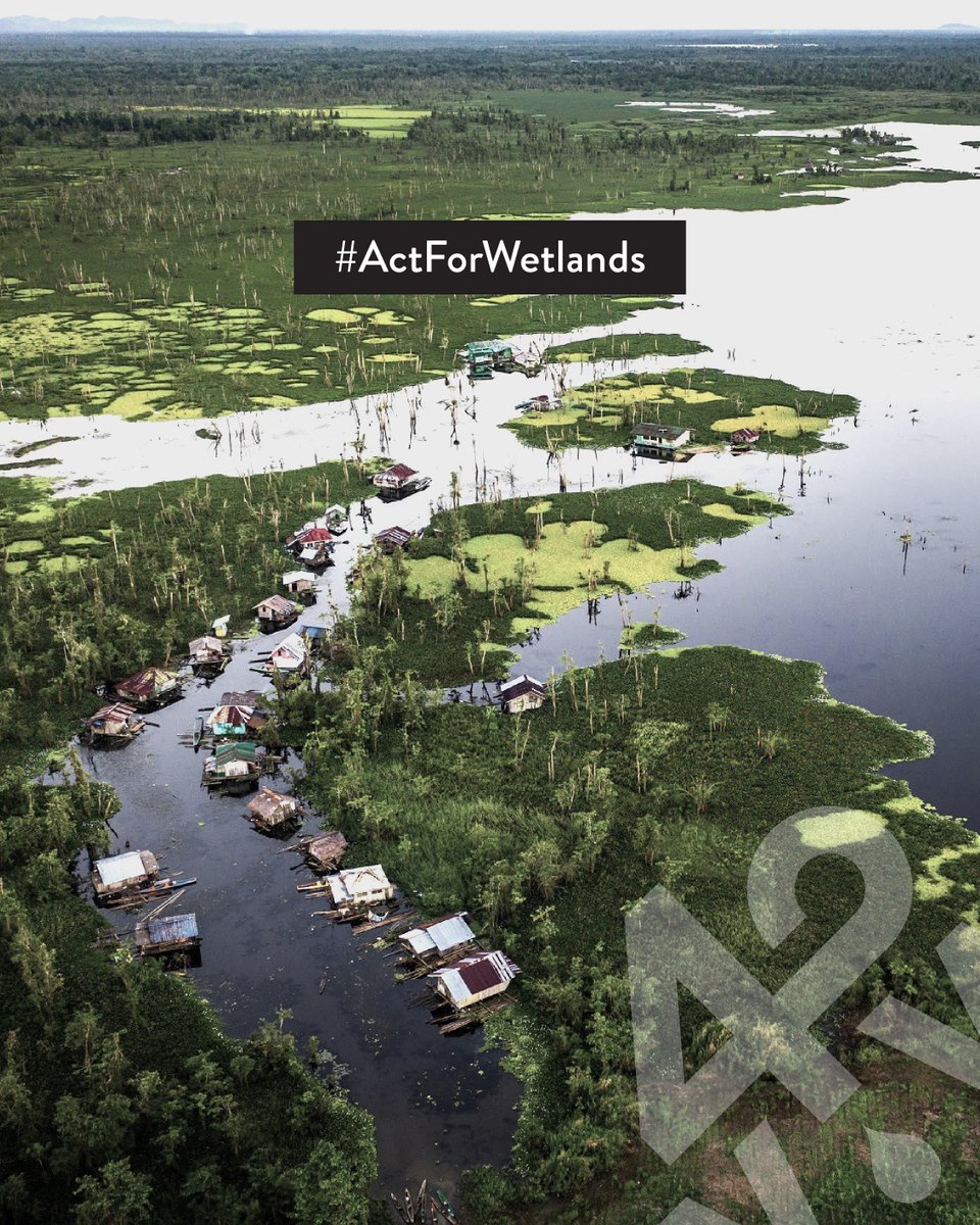 🌍 Did you know there's a hidden world beneath our boots?

#WorldWetlandsDay celebrates nature’s sponges that soak up floods, filter out clean water, and home countless wildlife.