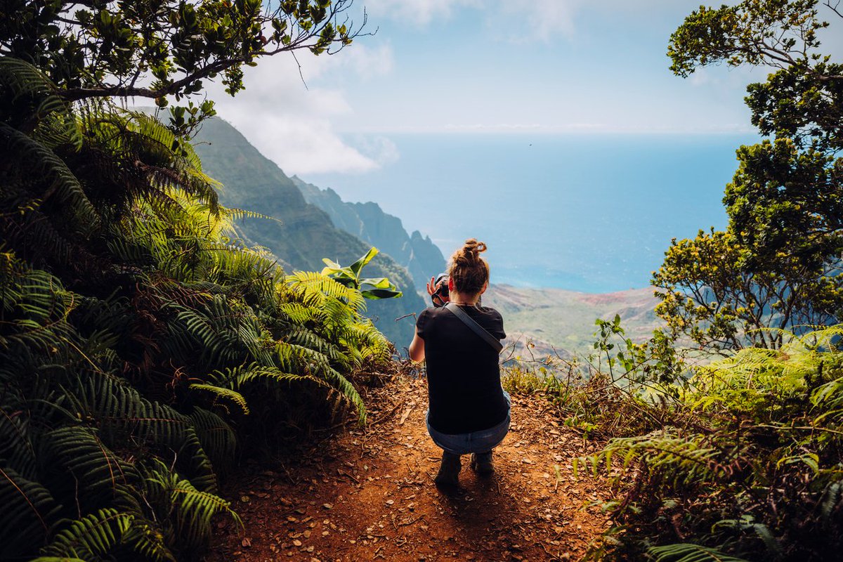 AutoEuropeAUNZ's tweet photo. #Hawaii offers an incredible blend of #adventure and #relaxation 🌺

With a car hire, #explore the #stunning beaches of #Waikiki and on the North Shore, hike the lush trails of Diamond Head, or visit the historic Pearl Harbor.

Plan your #journey and see the beauty of Hawaii 🌴 https://t.co/GMsm0Xrdzx