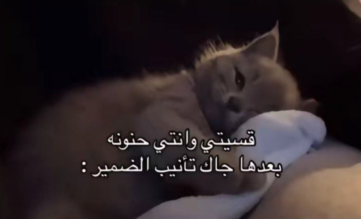 حصل 🥺):
