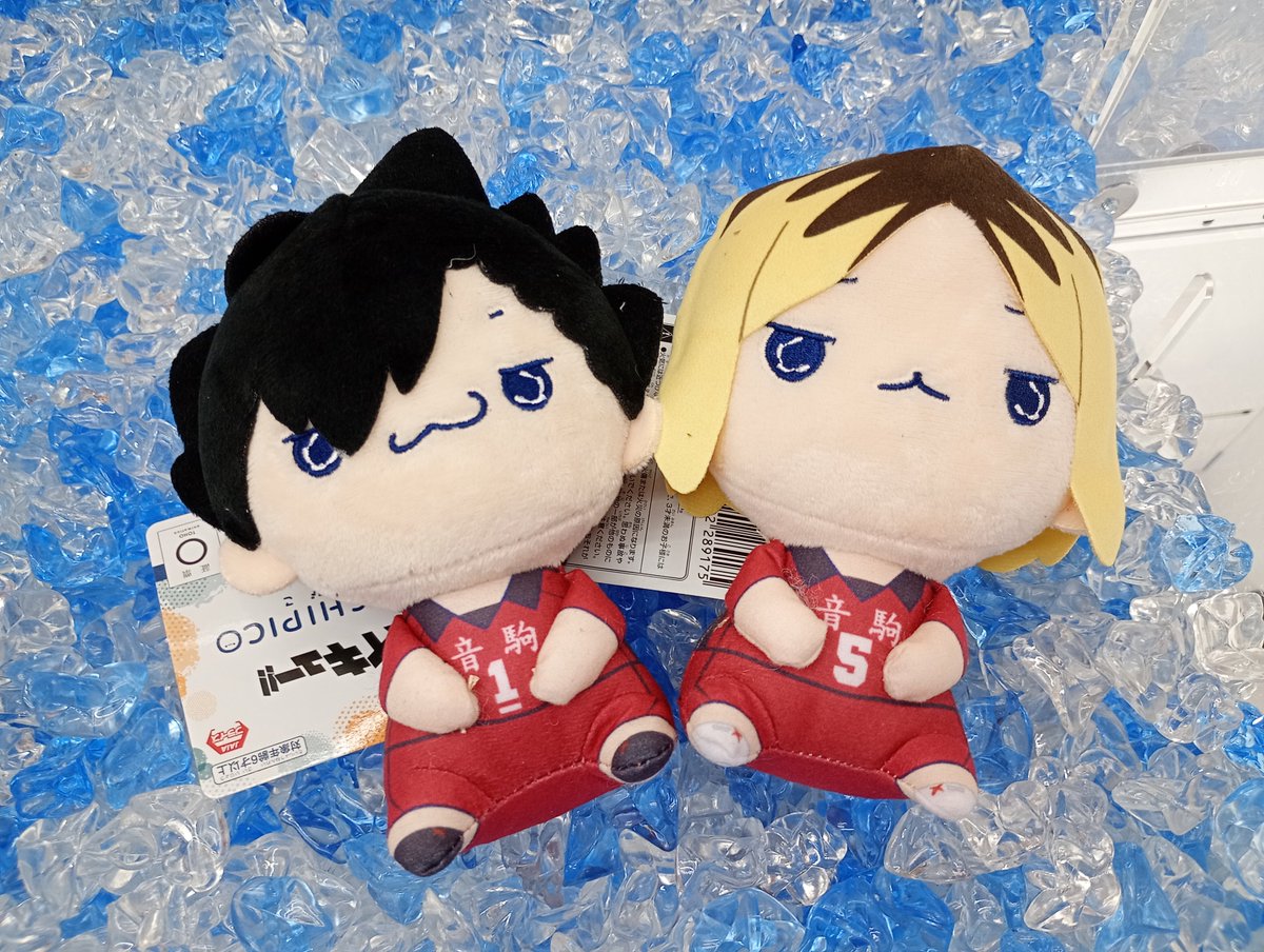 ?2階登場中? #ハイキュー もちぴこぬいぐるみが新登場⊂( ᴖ ̫ᴖ 