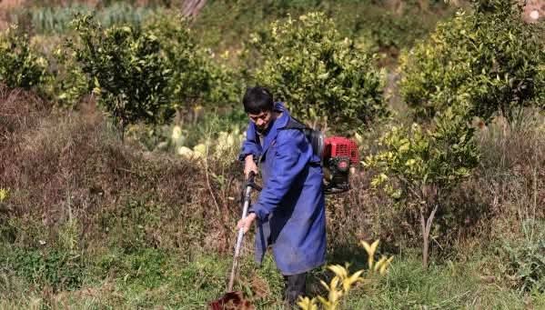 MingalaNews's tweet image. နွေဦးရာသီအစတွင် ကူမင်းသည် နွေဦးထွန်ယက်ခြင်းနှင့် လယ်ယာလုပ်ငန်းဖြင့် အလုပ်များနေပြီဖြစ်ပါတယ်။  လယ်သမားများသည် နွေဦးရာသီကို သိမ်းပိုက်ပြီး နွေဦးထွန်ယက်ရန် တက်ကြွစွာ ပြင်ဆင်‌ နေကြပါတယ်။
#BeginningofSpring 
#Springplowing