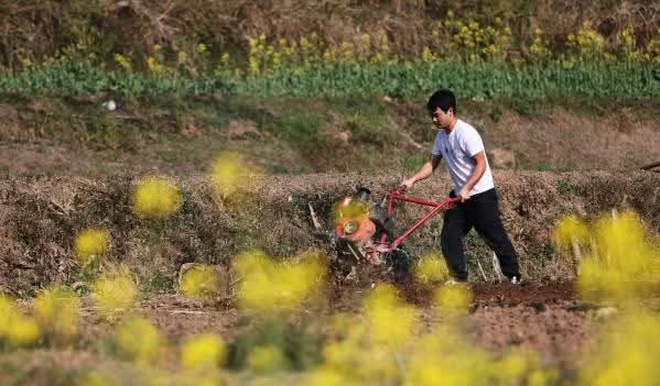 MingalaNews's tweet image. နွေဦးရာသီအစတွင် ကူမင်းသည် နွေဦးထွန်ယက်ခြင်းနှင့် လယ်ယာလုပ်ငန်းဖြင့် အလုပ်များနေပြီဖြစ်ပါတယ်။  လယ်သမားများသည် နွေဦးရာသီကို သိမ်းပိုက်ပြီး နွေဦးထွန်ယက်ရန် တက်ကြွစွာ ပြင်ဆင်‌ နေကြပါတယ်။
#BeginningofSpring 
#Springplowing