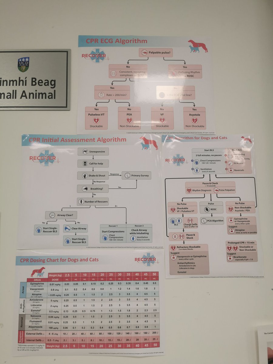 UCD Clinical Skills Centre (@ucdcsc) on Twitter photo Well done to our stage 3 veterinary nurses working through the <a href="/RECOVERCPR/">RECOVER Initiative</a> Advanced Life Support algorithm yesterday following on from their Basic Life Support last week. They showed strong teamwork, leadership & communication. Very impressive 👏👏 Well done to our stage 3 veterinary nurses working through the <a href="/RECOVERCPR/">RECOVER Initiative</a> Advanced Life Support algorithm yesterday following on from their Basic Life Support last week. They showed strong teamwork, leadership & communication. Very impressive 👏👏