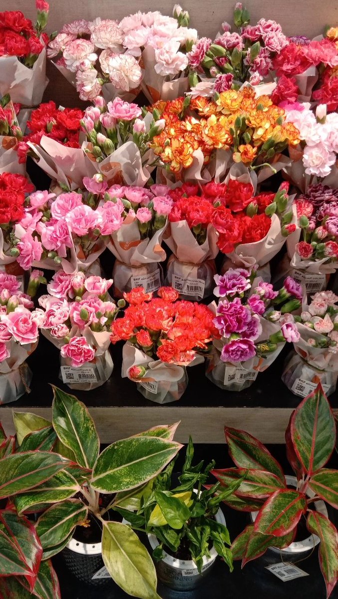 💐🤏