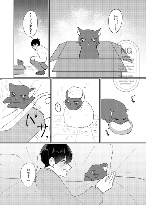 rnis 🐈‍⬛を連れて帰ったら.... 
