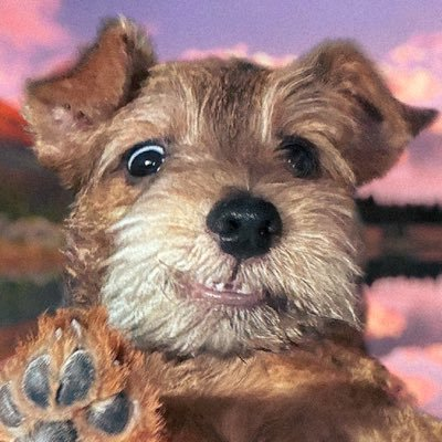 finalstretchai's tweet photo. @GOTPASED #X-GOTPAWSED #PAWS #PAWSUP #GOTPAWS #PAWS #TGE #LAUNCH #BILLIONDOLLARMC #HOLDTOABILL #LEGO #ARMINCANFLY https://t.co/ojpT2WmGPZ