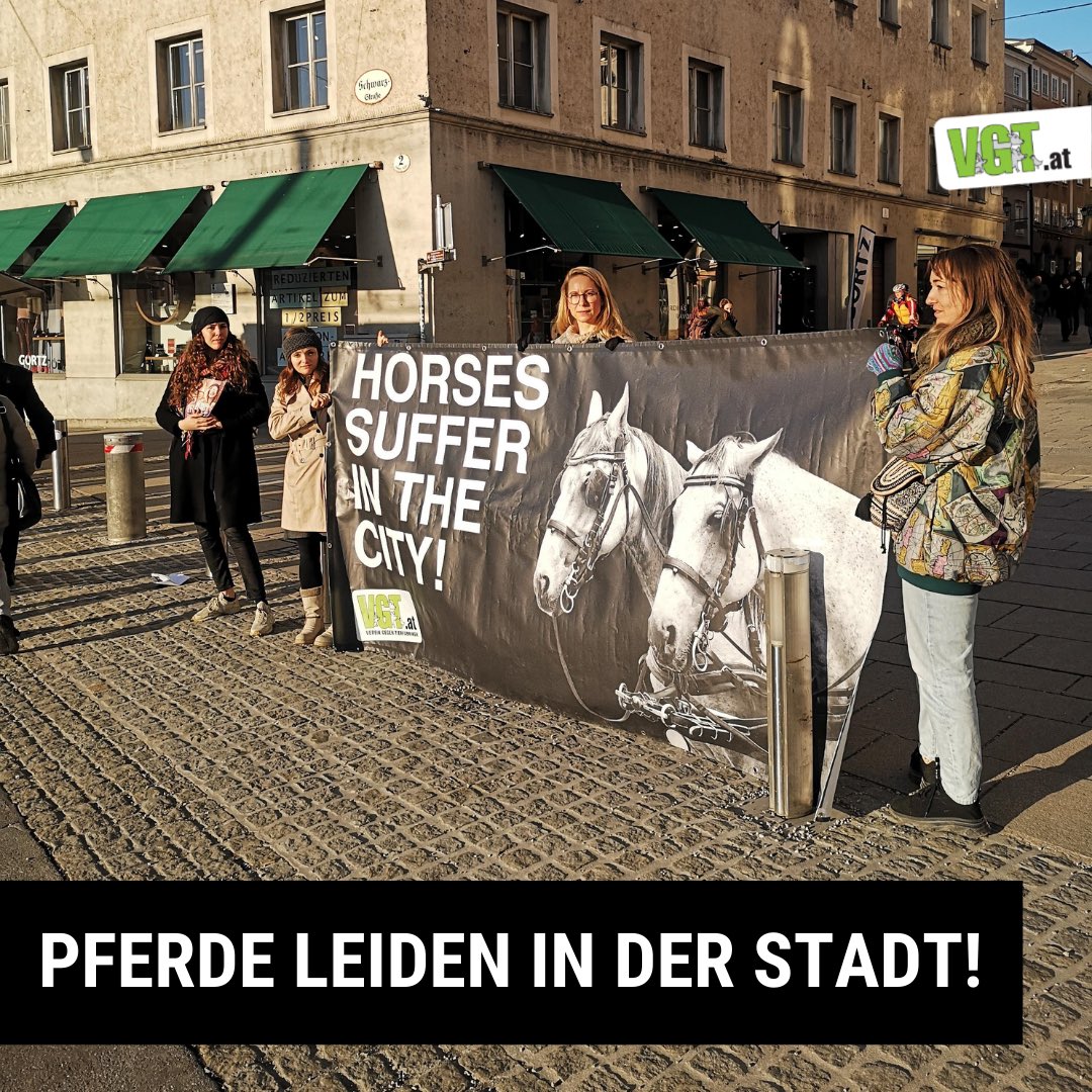 vgt_at's tweet photo. Gestern fand in Salzburg eine Demo gegen Fiaker statt! PFERDE RAUS AUS DER STADT! 😔🐴
Bitte unterschreibt unsere Petition:
https://t.co/EKSbl0dGKW !B https://t.co/7xw9u3Z11D