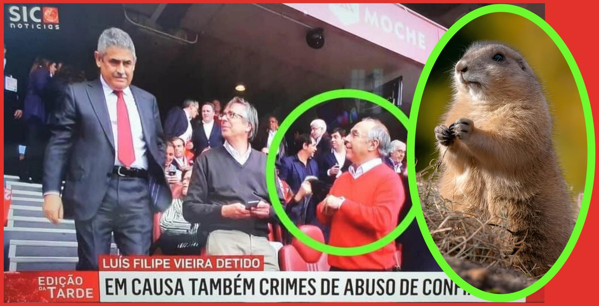 rtp.pt/noticias/polit…