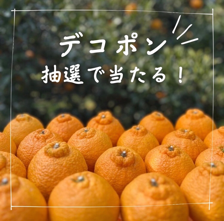 c182768's tweet photo. 【24時間限定デコポンチャレンジ🍊】
フォロー＆この投稿をリポストで、デコポン3kgを2名様にあげます。1時間で200個売り切れた時は本当にびっくりしました。本当にありがとうございます。24時間限定で2/7 17:03締切。 https://t.co/Jkl7MPvYco