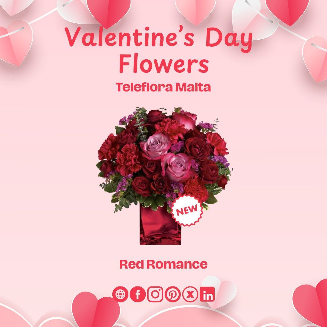 TelefloraMalta's tweet photo. Enchant your loved one our NEW Red Romance bouquet. ❤️💐

This stunning arrangement features a captivating blend of red and lavender roses, presented in a stylish red glass cube vase. Create a sparkling remembrance that your loved one will cherish forever. 🌎

#TelefloraMalta https://t.co/tUgaxZTcGl