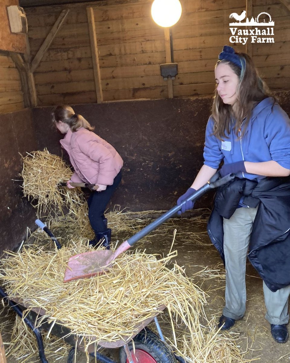 👨‍🌾 Young Farmers 👨‍🌾 Get stuck into the great outdoors at Vauxhall City Farm! Join us on Saturday mornings to learn all about animals, plants and life on The Farm.

Full details and to register:  vauxhallcityfarm.org/youth-programm… 

#vauxhallcityfarm