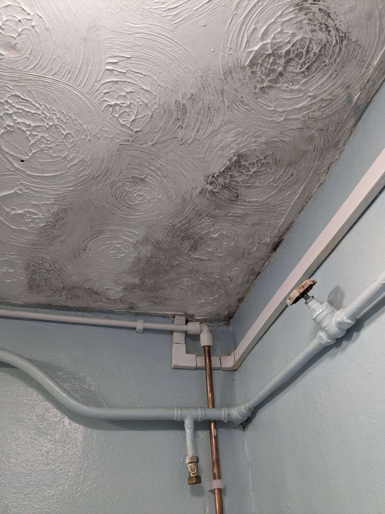 Permagard_UK's tweet image. You likely spend more time in your bedroom than in any other room in your home. Black mould is especially serious, as you can spend hours exposed to potentially harmful spores. Find out how to get rid of mould in your bedroom: bit.ly/3UPUtOP

#mouldproblems #blackmould
