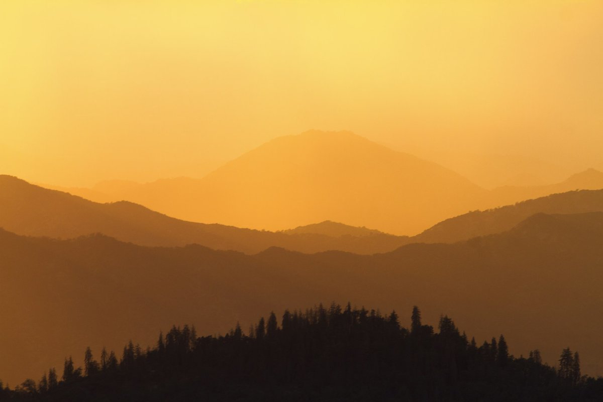 We’ve launched a job search engine for International Development Professionals!

This is our way of giving back to a community that works tirelessly to create a better world. Check it out and spread the word! 👇

dryfta.com/impact

#JobSearch #ImpactDriven