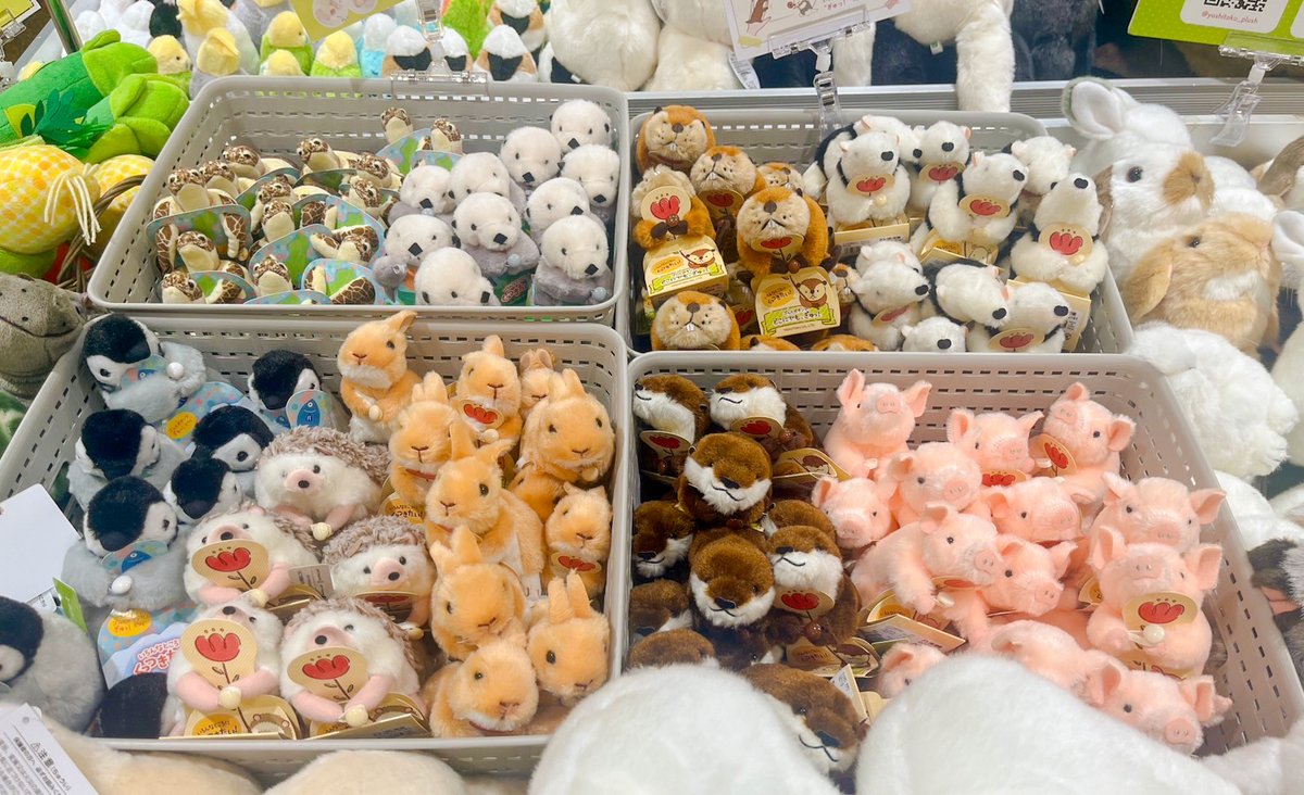 ぬいぐるみ色々まとめ売り おしらせ】 2月6日(木)〜3月12日(水)の期間中、 新宿リモーネプラス