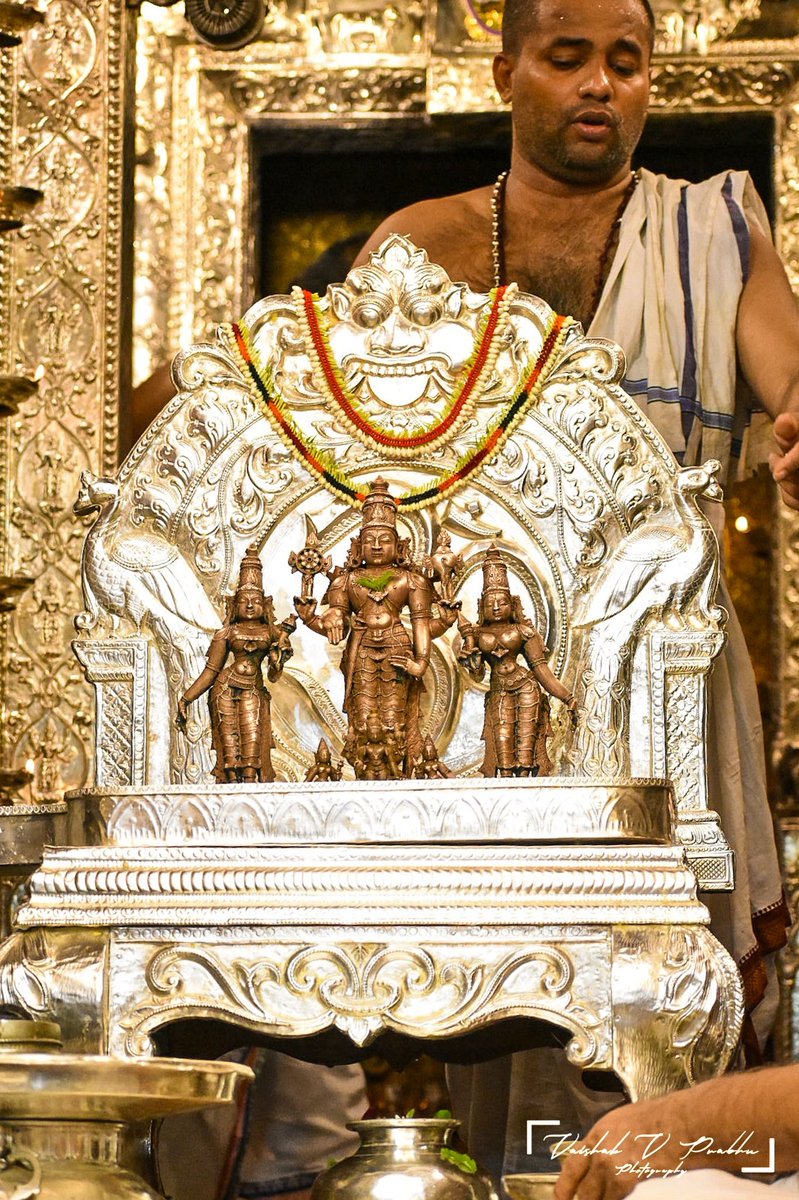 amchigelesamaj's tweet photo. Kodial Teru 2025
📸 : @PrabhuVaishak https://t.co/g9NSRXgLPR