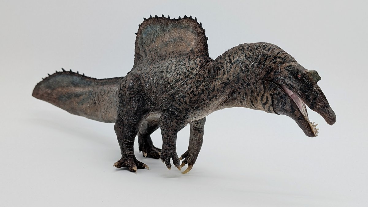 BEHOLD Swimbo! My Spinosaurus aegyptiacus 1/35th size sculpture with a moving jaw!!! 
(More images below.)
I love my sweet little pharaoh.🩵