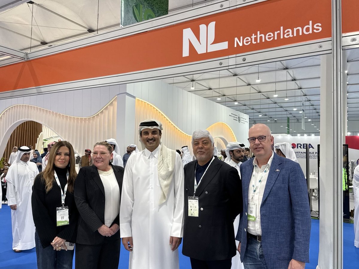 Netherlands in Qatar tweet media