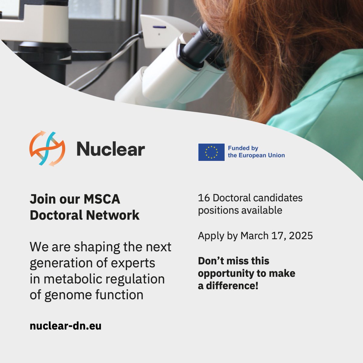NUCLEAR-DN (@nucleardn) on Twitter photo 🚨 We’re Hiring! 16 PhD opportunities in an emerging research field! 🚨<a href="/MSCActions/">Marie Skłodowska-Curie Actions</a>
Are you ready to dive into innovative research in metabolic regulation of genome function in stem cells and cancer?
🔗 Learn more & apply now: nuclear-dn.eu
#PhD #CancerResearch #MSCA 🚨 We’re Hiring! 16 PhD opportunities in an emerging research field! 🚨<a href="/MSCActions/">Marie Skłodowska-Curie Actions</a>
Are you ready to dive into innovative research in metabolic regulation of genome function in stem cells and cancer?
🔗 Learn more & apply now: nuclear-dn.eu
#PhD #CancerResearch #MSCA