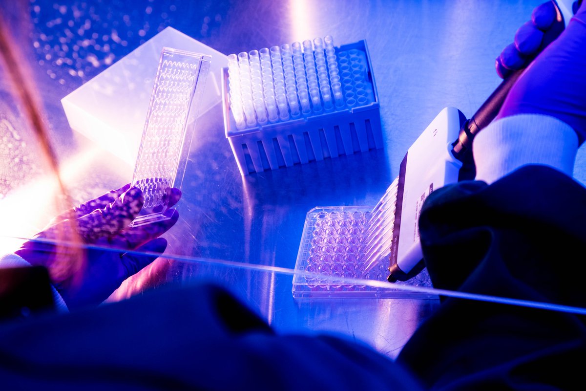 iiCON: Infection Innovation Consortium (@iiconnw) on Twitter photo <a href="/iiconNW/">iiCON: Infection Innovation Consortium</a> has provided <a href="/INFEX_TX/">INFEX Therapeutics</a> with the crucial resources needed to accelerate its R&D programmes, and progress toward life-saving therapies.
Case study: lnkd.in/e3TDkmep <a href="/iiconNW/">iiCON: Infection Innovation Consortium</a> has provided <a href="/INFEX_TX/">INFEX Therapeutics</a> with the crucial resources needed to accelerate its R&D programmes, and progress toward life-saving therapies.
Case study: lnkd.in/e3TDkmep