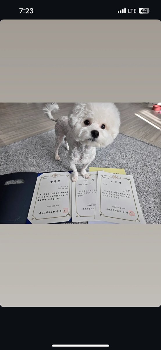 배찬승호감인점: 비숑키움,좌완파이어볼러임,존재함