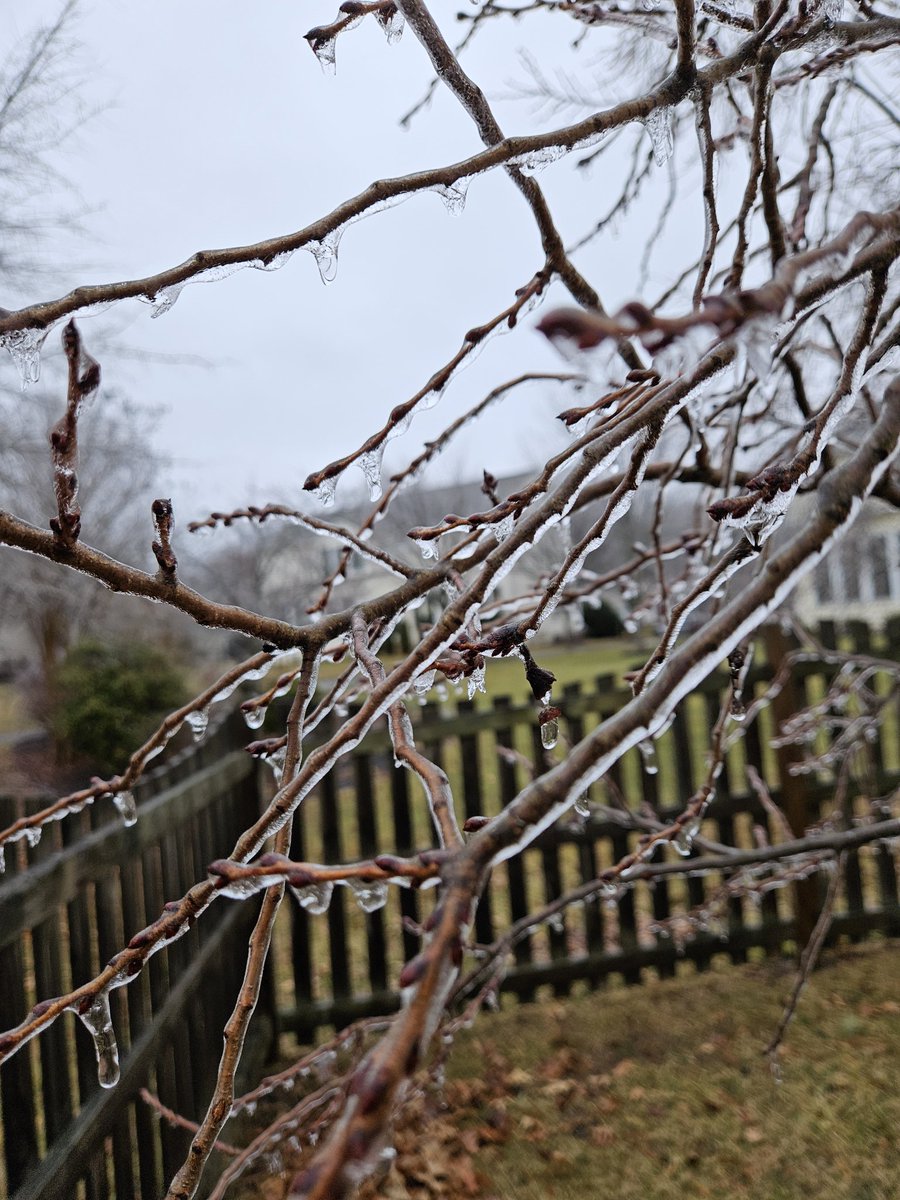 Emily Rodmell tweet media