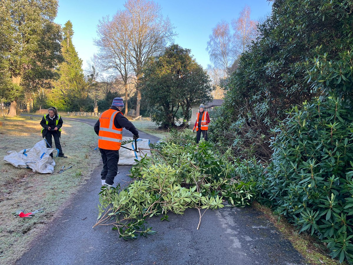 Brookwood Cemetery volunteers cutting back the overgrown Rhododendron from St Chad's Av.