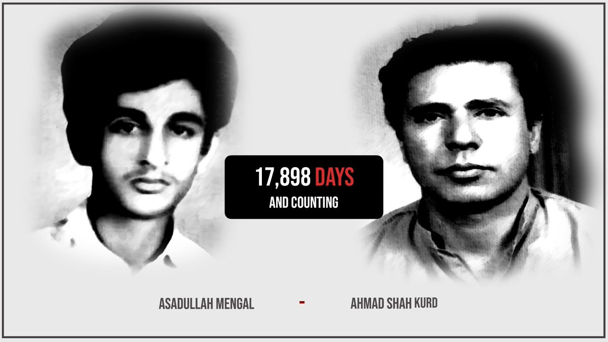 WBO🕊️ tweet media