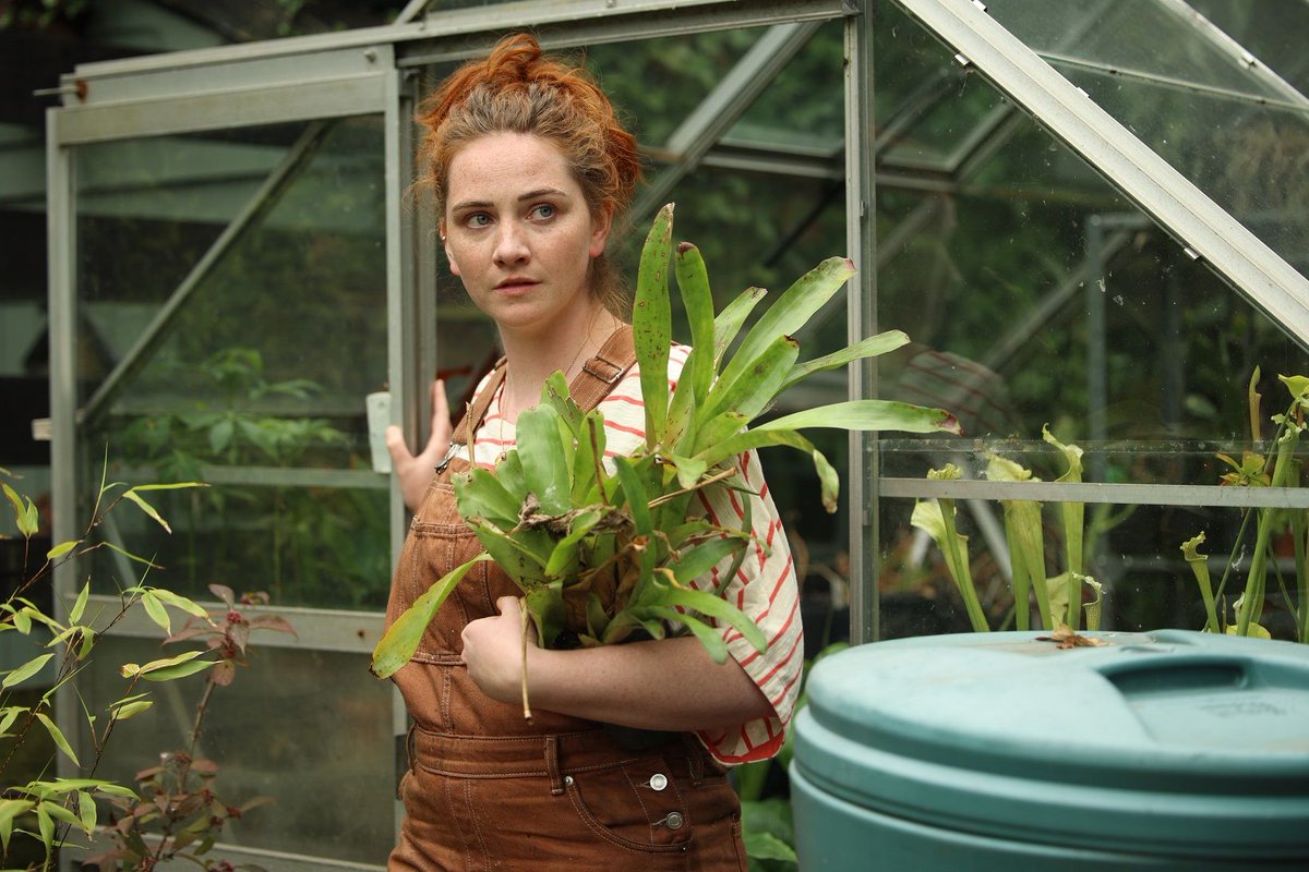 Midlands Movies tweet media