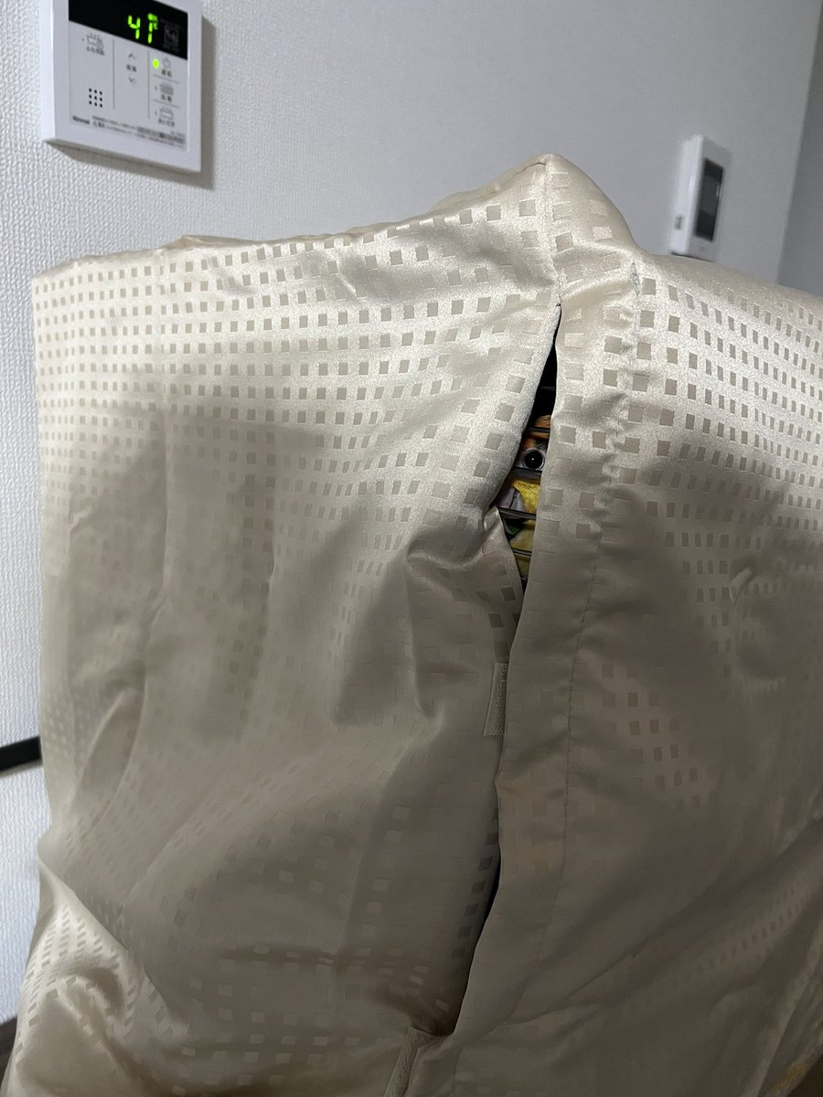 おやすみの準備完了！
と思ったら甘かった、、、
こっち見てる、、、

#シロハラインコ
#もち丸