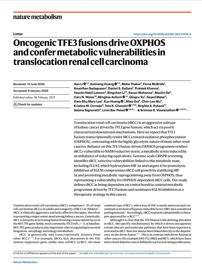 Srinivas Viswanathan (@srviswanathan) on Twitter photo 🚨 New study! 🚨Excited to share our research on #translocationRCC #tRCC published in <a href="/NatMetabolism/">Nature Metabolism</a>, in collaboration with @lironbarpeled. We reveal how the TFE3 fusion drives a key oxidative phosphorylation (OXPHOS) metabolic program in this kidney cancer. 1/ <a href="/DanaFarberNews/">Dana-Farber News</a> 🚨 New study! 🚨Excited to share our research on #translocationRCC #tRCC published in <a href="/NatMetabolism/">Nature Metabolism</a>, in collaboration with @lironbarpeled. We reveal how the TFE3 fusion drives a key oxidative phosphorylation (OXPHOS) metabolic program in this kidney cancer. 1/ <a href="/DanaFarberNews/">Dana-Farber News</a>