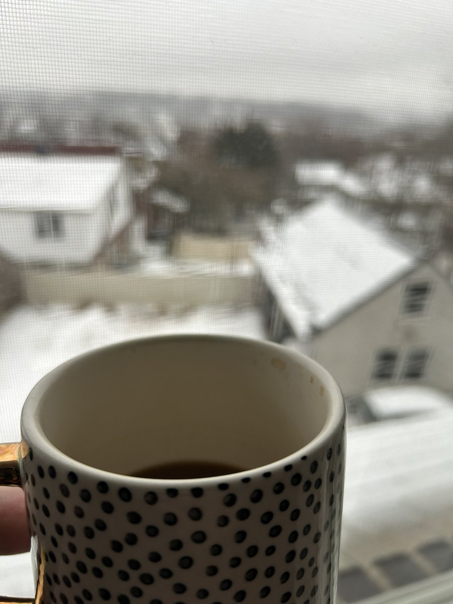 Good morning  ❄️
Snowy Thursday in NY